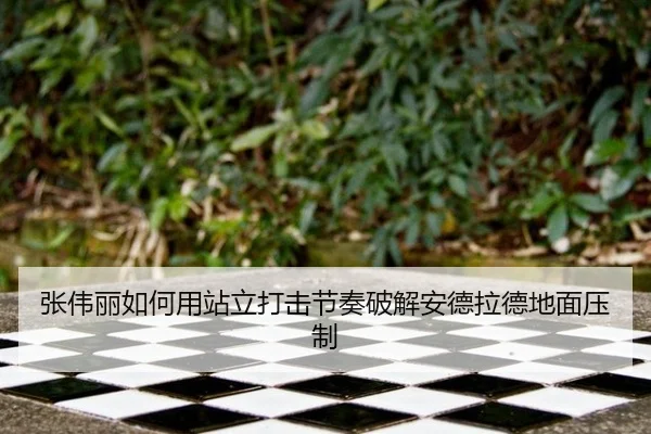 张伟丽如何用站立打击节奏破解安德拉德地面压制