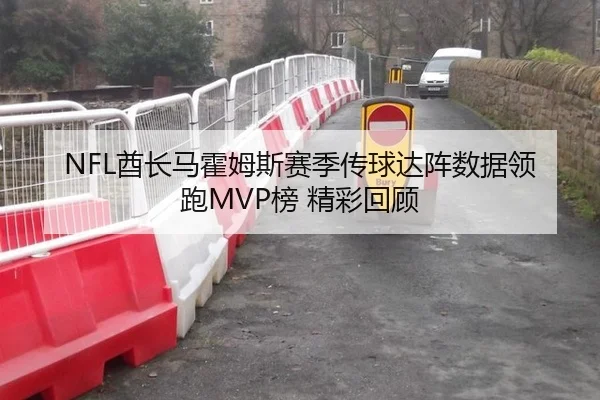 NFL酋长马霍姆斯赛季传球达阵数据领跑MVP榜 精彩回顾